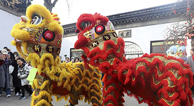 江蘇蘇州:舞獅表演迎新春